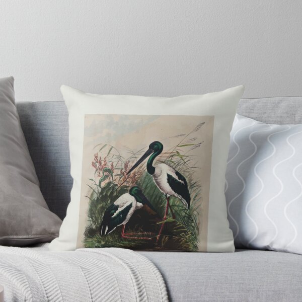 Item preview, Zoological sketches by Joseph Wolf 1861 to 1867 047 The Australian Mycteria designed and sold by WetdryvacRB01.