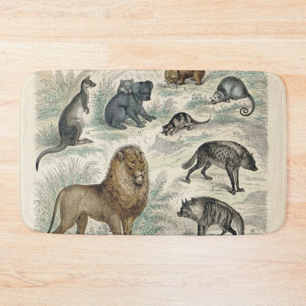 Item preview, Vintage zoology illustration - Marsupials and big cats designed and sold by Gardenlibrary.