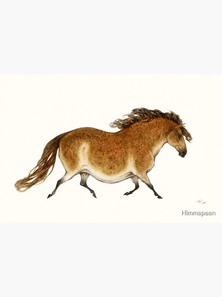 Pudgy Horse Lascaux Tribute 1 by Himmapaan