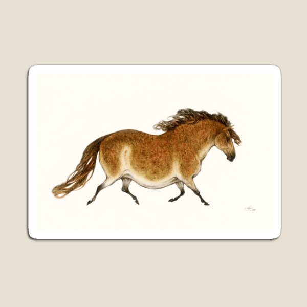 Pudgy Horse Lascaux Tribute 1 Magnet