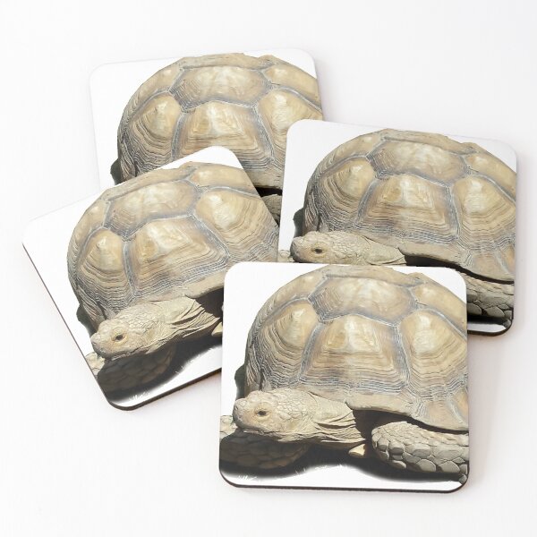 Item preview, Gentle Tortoise designed and sold by Lori Clough.
