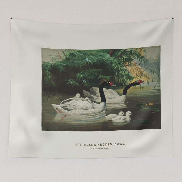Item preview, Zoological sketches by Joseph Wolf 1861 to 1867 048 The Black Necked Swan designed and sold by WetdryvacRB01.