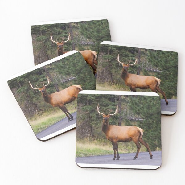 Item preview, Bull Elk designed and sold by Robyn Scully.