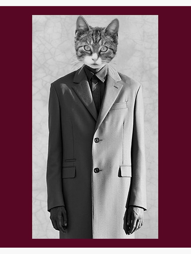 Cat formal outlet wear