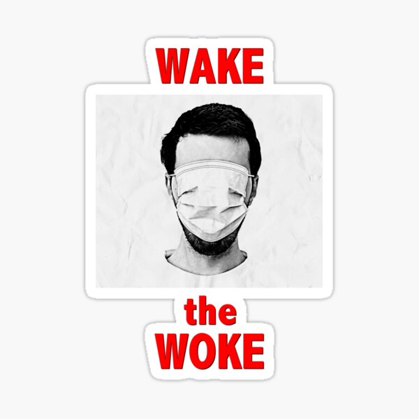 Wake the Woke Sticker