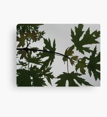 Eternal Canvas Print