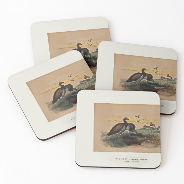 Item preview, Zoological sketches by Joseph Wolf 1861 to 1867 049 The Ashy Headed Goose designed and sold by WetdryvacRB01.
