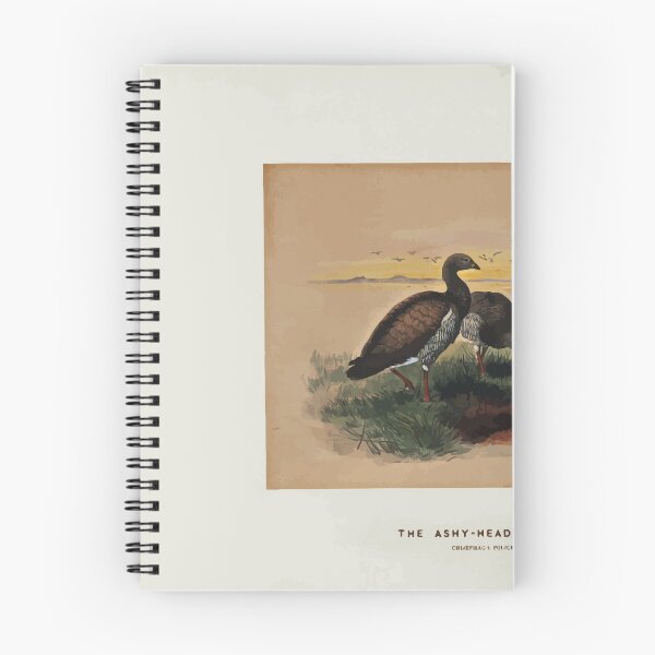 Item preview, Zoological sketches by Joseph Wolf 1861 to 1867 049 The Ashy Headed Goose designed and sold by WetdryvacRB01.