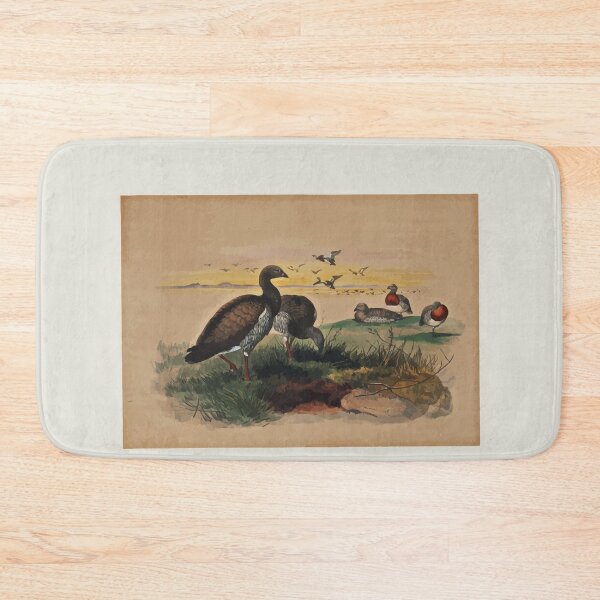 Item preview, Zoological sketches by Joseph Wolf 1861 to 1867 049 The Ashy Headed Goose designed and sold by WetdryvacRB01.