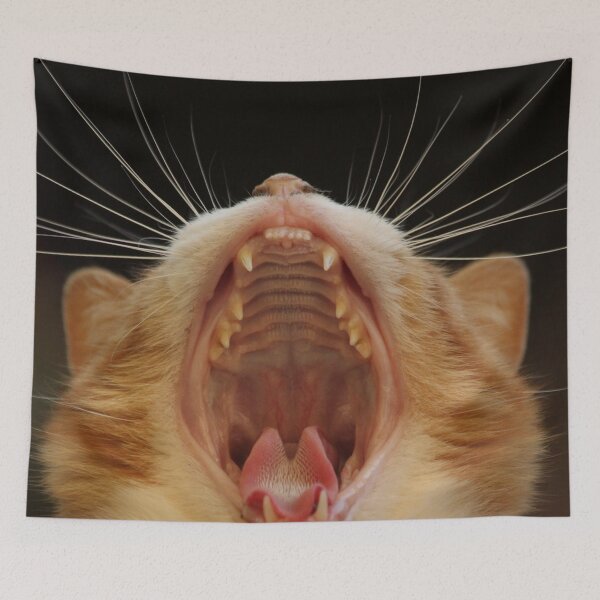 Item preview, Funny Cat Yawning Wide Open Mouth  designed and sold by TriadArtDesign.