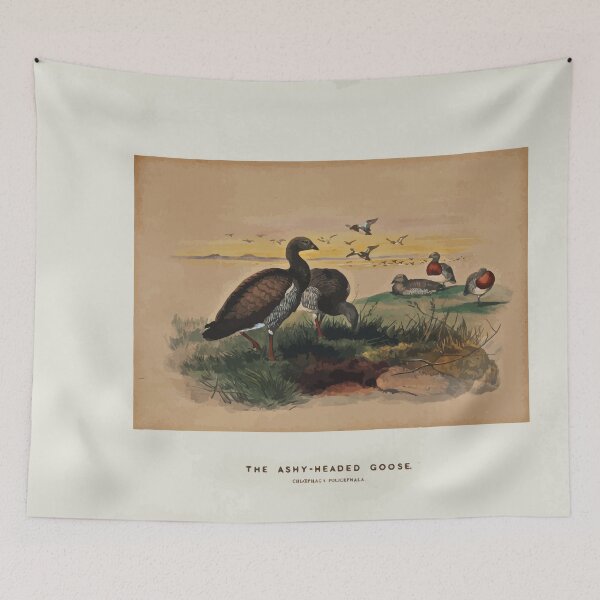 Item preview, Zoological sketches by Joseph Wolf 1861 to 1867 049 The Ashy Headed Goose designed and sold by WetdryvacRB01.