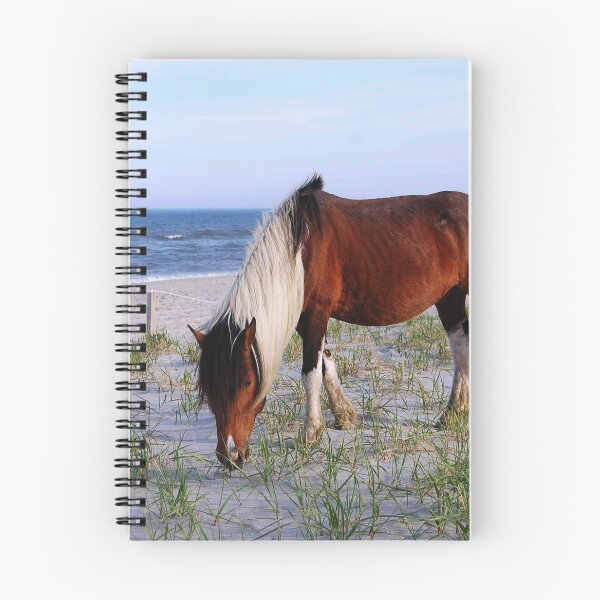 Item preview, Wild horses, wildlife, gifts, Assateague, Upon the Dunes designed and sold by Sandra O'Toole.