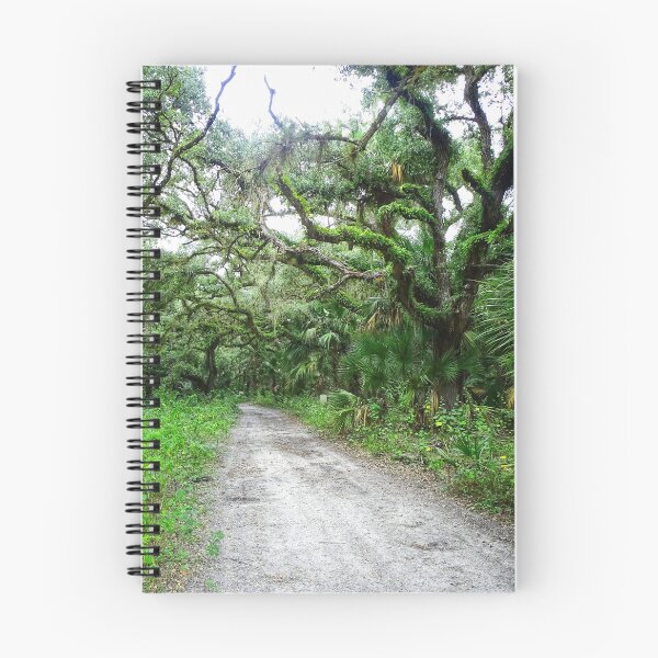 Item preview, The Path to Enlightenment designed and sold by Dead-Moroz.