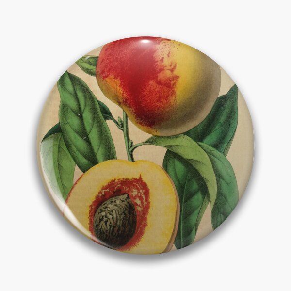 Item preview, "Shall I part my hair behind? Shall I dare to eat a peach?" T.S. Eliot designed and sold by picsoncotton.