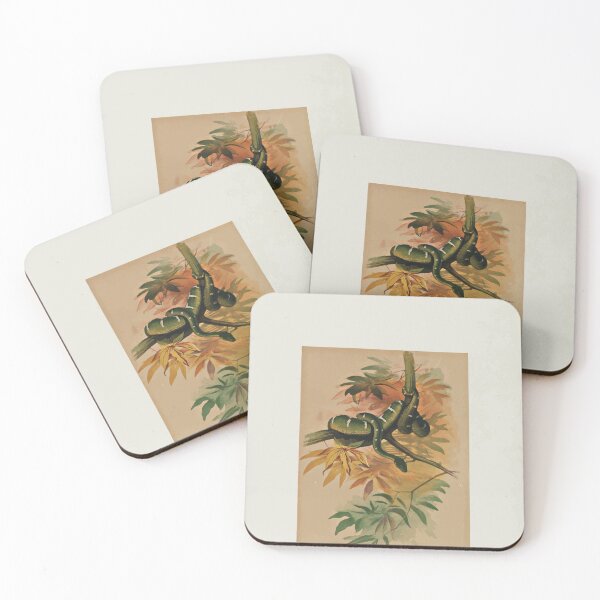 Item preview, Zoological sketches by Joseph Wolf 1861 to 1867 050 The Green Boa designed and sold by WetdryvacRB01.