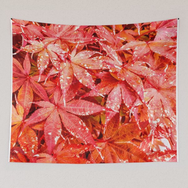 Item preview, Japanese Maple designed and sold by Pegsterpower.