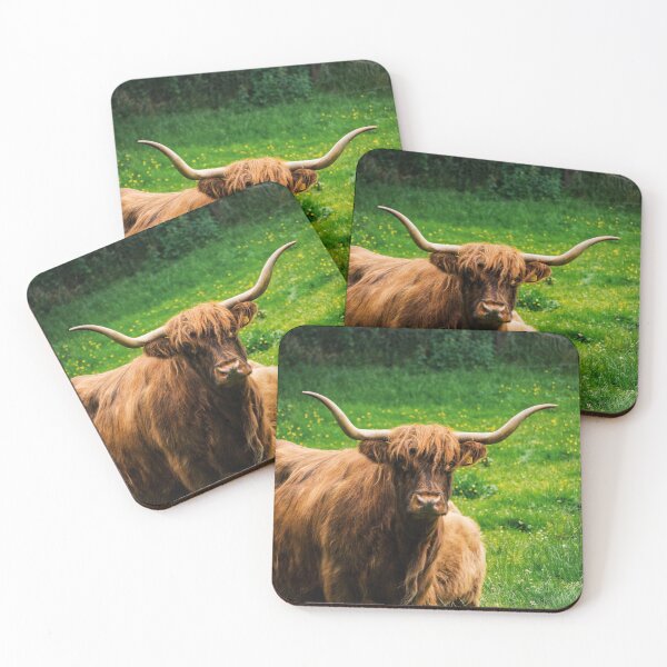 Item preview, Highland Coo designed and sold by Aaron Watkins.