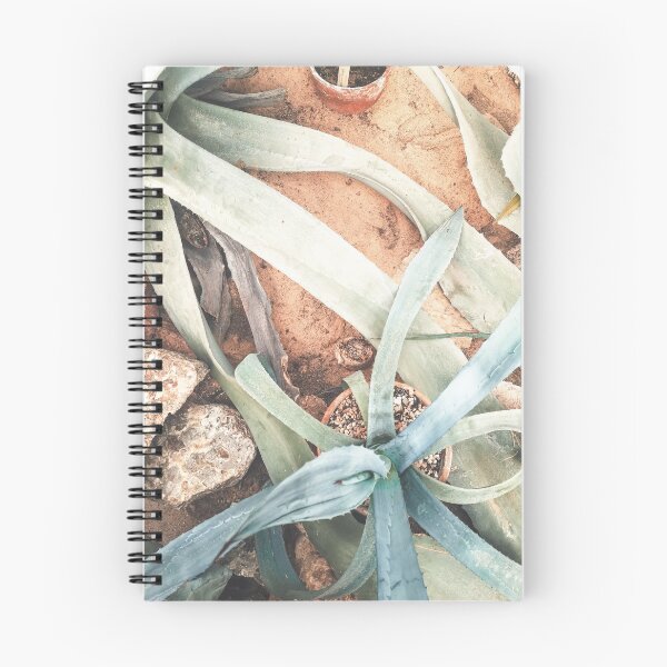 Item preview, Sandy Aloe Vera Composition designed and sold by anaya-design.