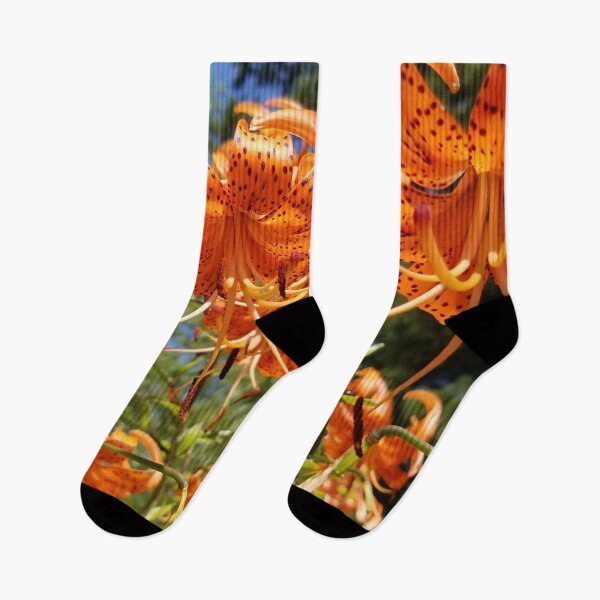 Item preview, Orange Tiger Lilies in Arlene's Garden - Northern Minnesota designed and sold by f2error.