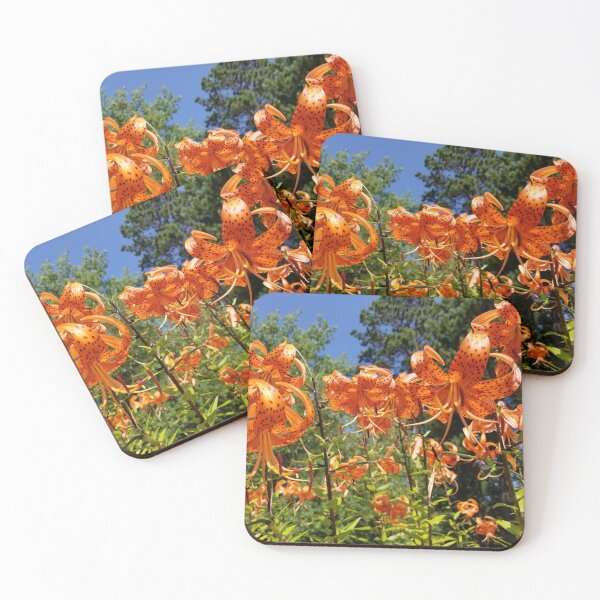 Item preview, Orange Tiger Lilies in Arlene's Garden - Northern Minnesota designed and sold by f2error.