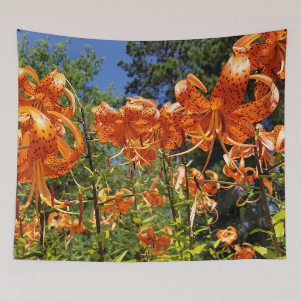 Item preview, Orange Tiger Lilies in Arlene's Garden - Northern Minnesota designed and sold by f2error.