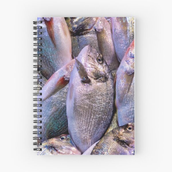 Item preview, Gilt-head bream designed and sold by troianifabrizio.