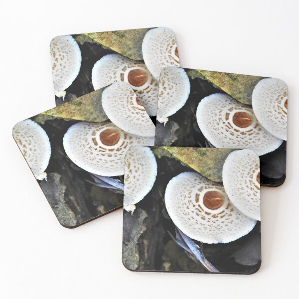 Item preview, Magic Mushrooms designed and sold by Pegsterpower.