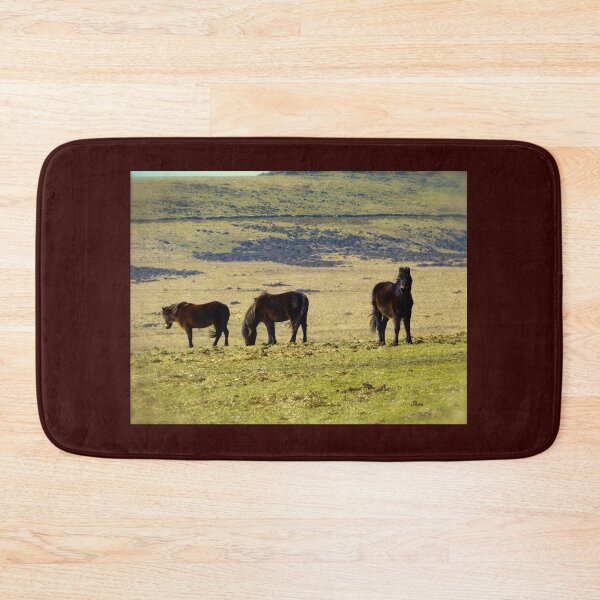 Item preview, Dartmoor ponies designed and sold by Shiva77.