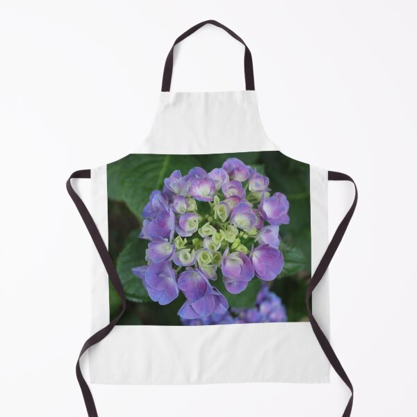 Aperçu de l'œuvre Hortensias Cape Cod créée et vendue par Mijiza.