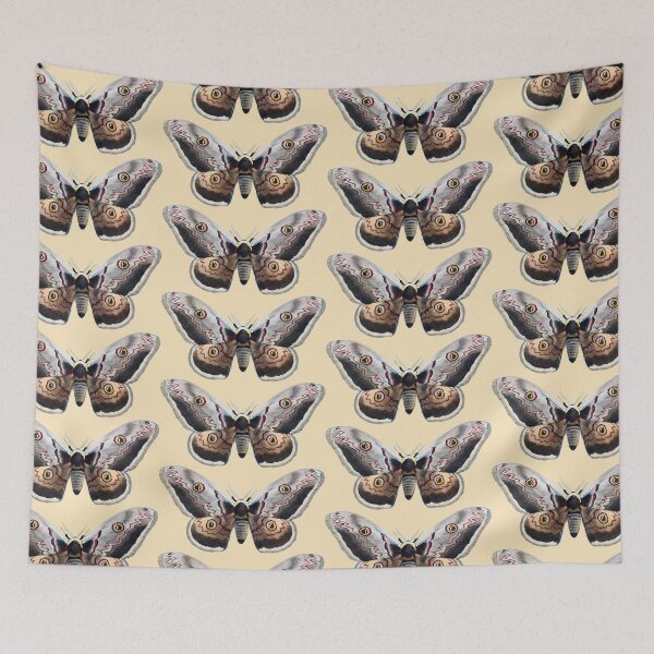 Item preview, Giant peacock moth designed and sold by portokalis.