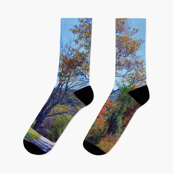 Item preview, Fall Scene designed and sold by Savannah Gibbs.