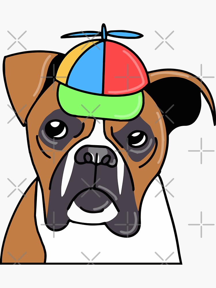 Dog with propeller outlet hat