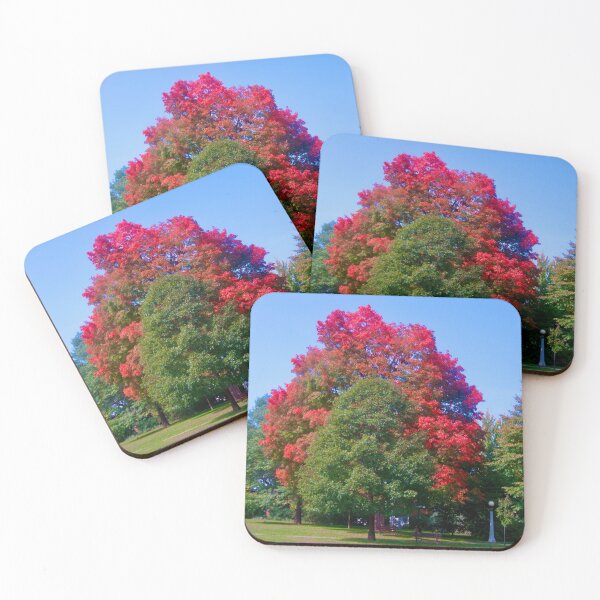 Item preview, Red Maple Tree designed and sold by Shulie1.