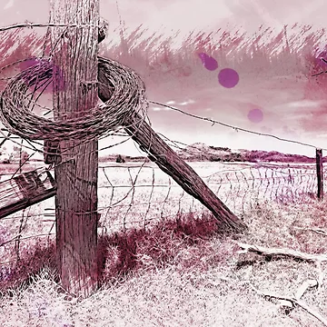 Artwork thumbnail, " Devil`s Rope " by JohnDSmith