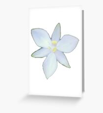 Flowers flowers flowers Greeting Card