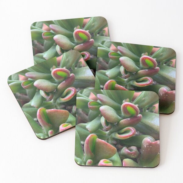 Aperçu de l'œuvre Dessert succulentes créée et vendue par Stephen Walsh.