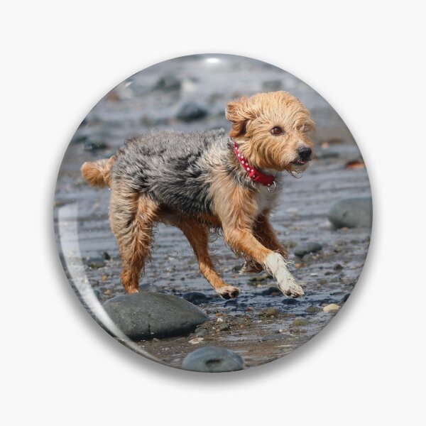 Item preview, Beach fun designed and sold by GreyFeatherPhot.