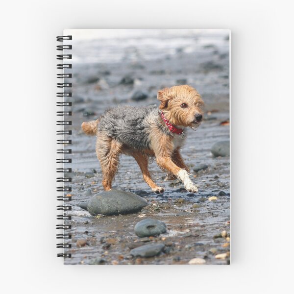 Item preview, Beach fun designed and sold by GreyFeatherPhot.