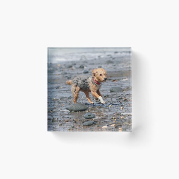 Item preview, Beach fun designed and sold by GreyFeatherPhot.