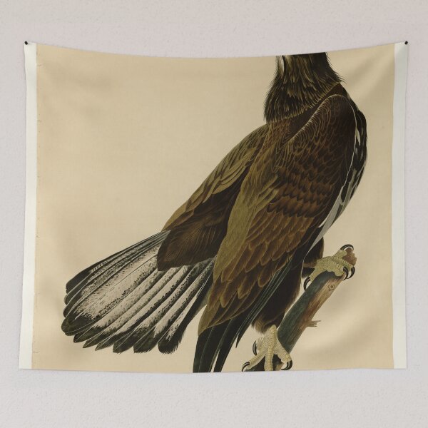 Item preview, 126 White headed Eagle designed and sold by Bird-Lore.
