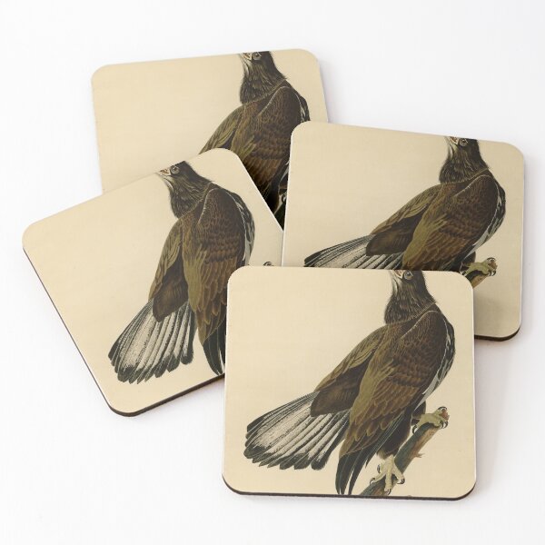 Item preview, 126 White headed Eagle designed and sold by Bird-Lore.
