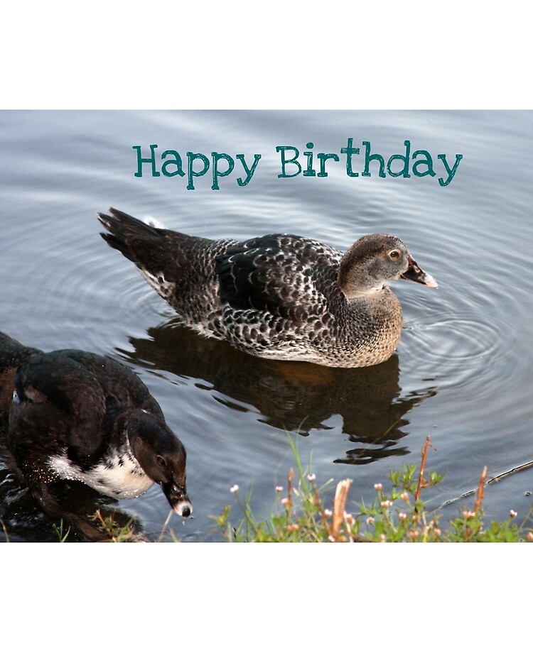 Descobrir 77+ imagem happy birthday ducks - br.thptnganamst.edu.vn