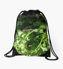Black Swallowtail Caterpillar Drawstring Bag