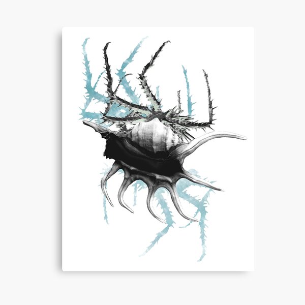 Blue Crab Canvas Print