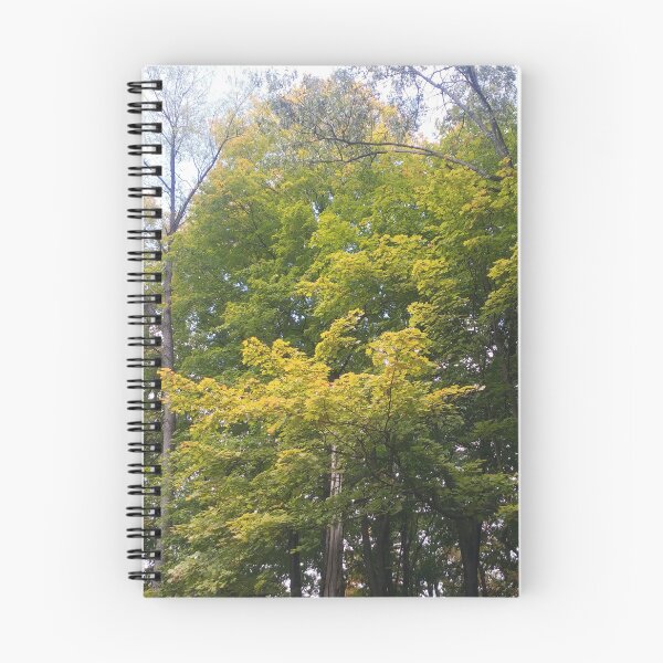 Item preview, Tree Tops designed and sold by NathanMoore92.