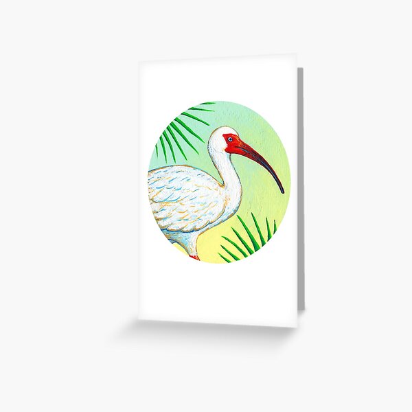 White Ibis Bird Greeting Card