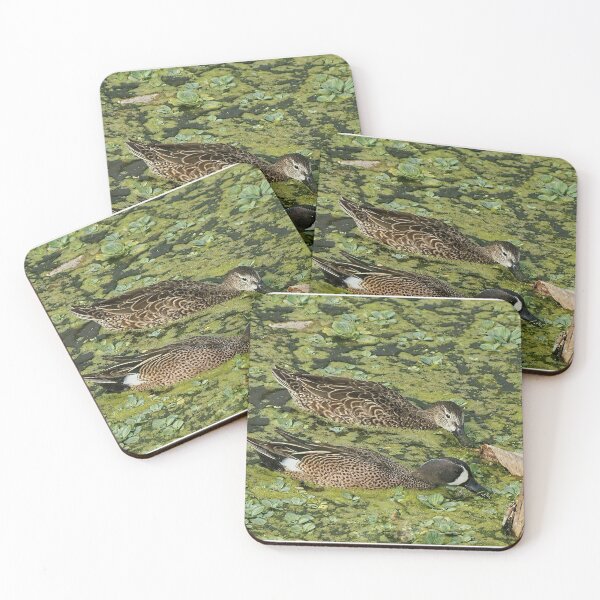 Item preview, Dabbling Ducks designed and sold by Lanis Rossi.