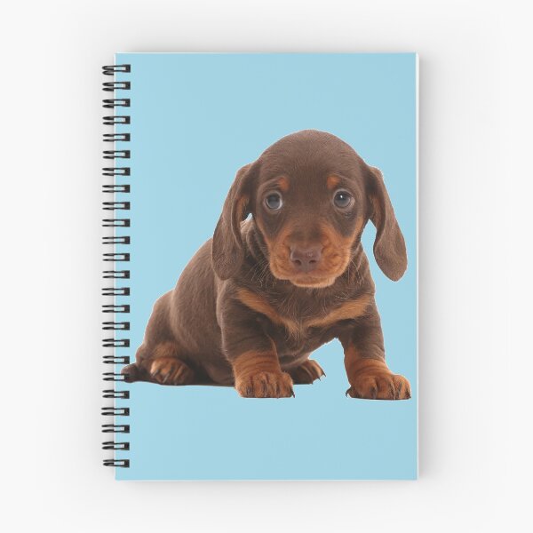 Item preview, Chocolate Dachshund Puppy designed and sold by ScienceSource.
