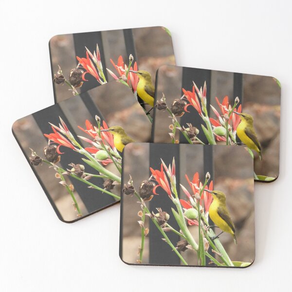 Item preview, Morning Sunbird designed and sold by ongarra.