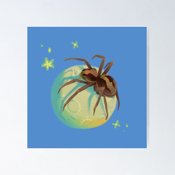 #bubble #spider #nature #desert #awesome Poster